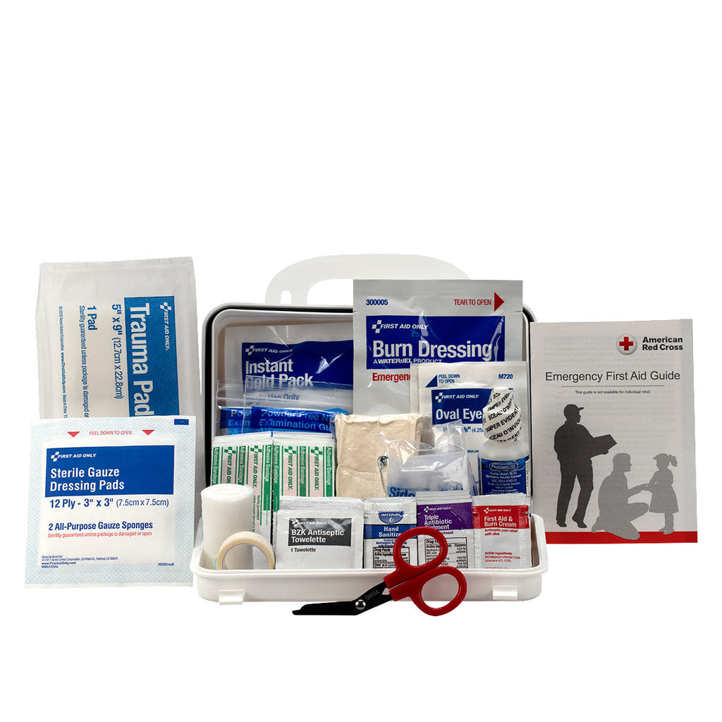 10 Person ANSI A First Aid Kit – Bulk Plastic Case – ANSI 2015 Compliant